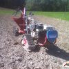 BCS 740 con seminapatate Marte